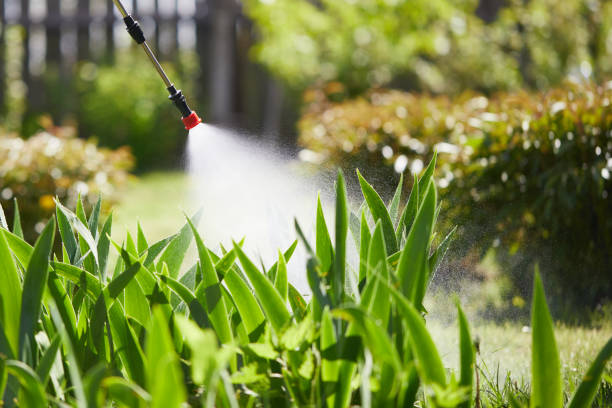 24/7 Emergency Mosquito Control experts in Fowlkes, TN